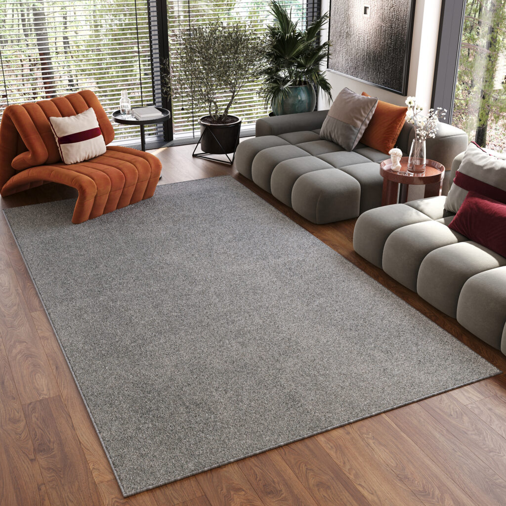 Area Rug Noyan Grey Silver Modern Anti-Slip