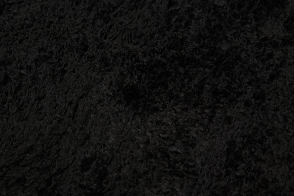 Area Rug Evra Shaggy Dark Plain Black