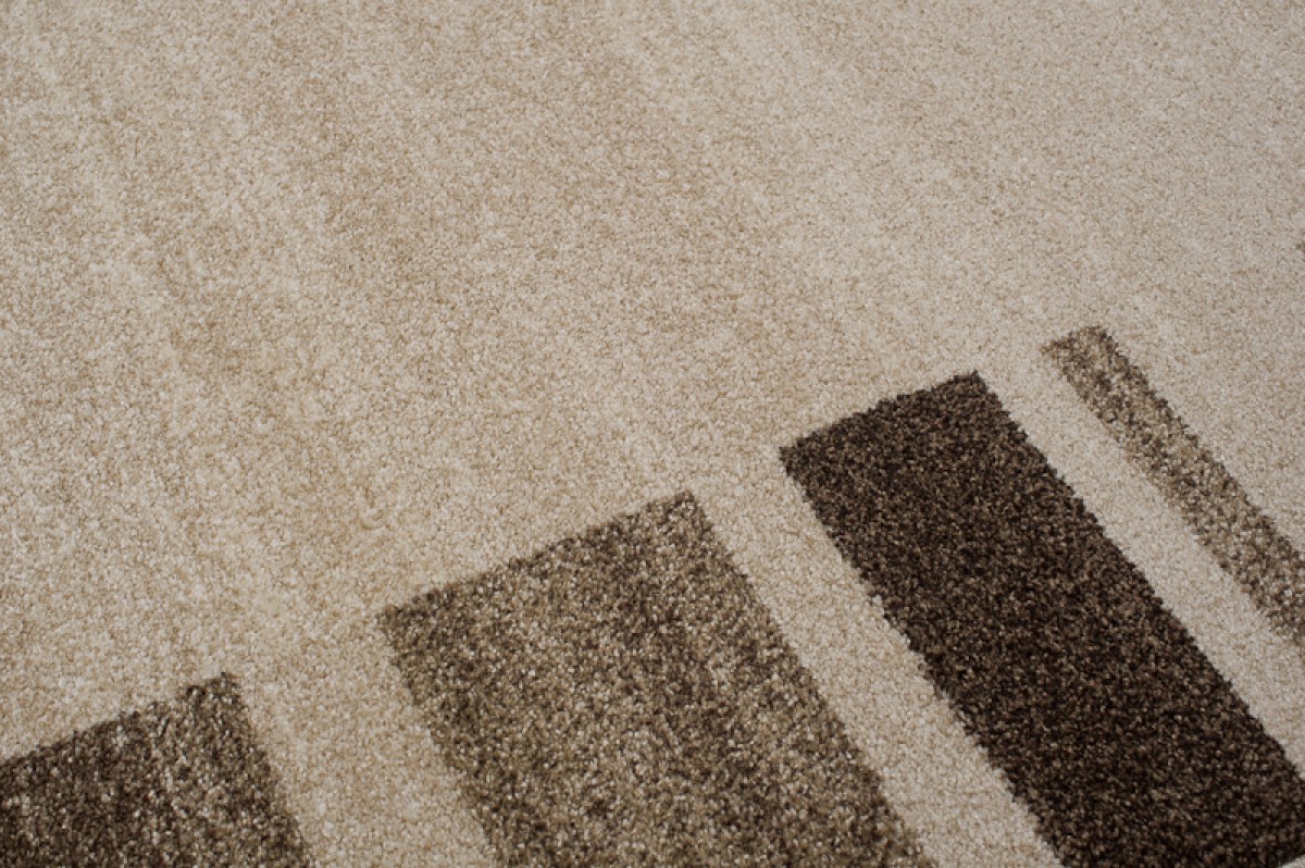 Area Rug Sari Beige Brown Frame - Image 4