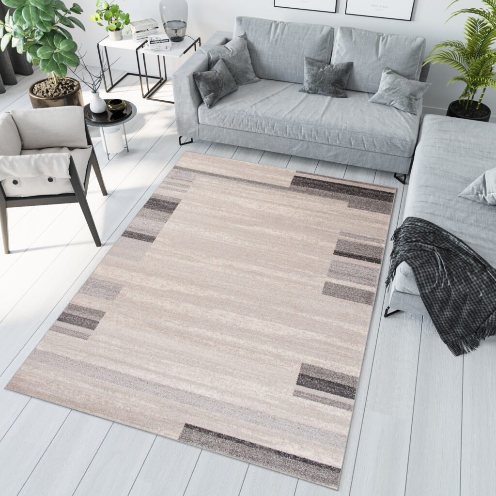 Area Rug Sari Light Beige Grey Frame